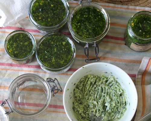 Pesto et beurre d'ail des ours - recette oumbi