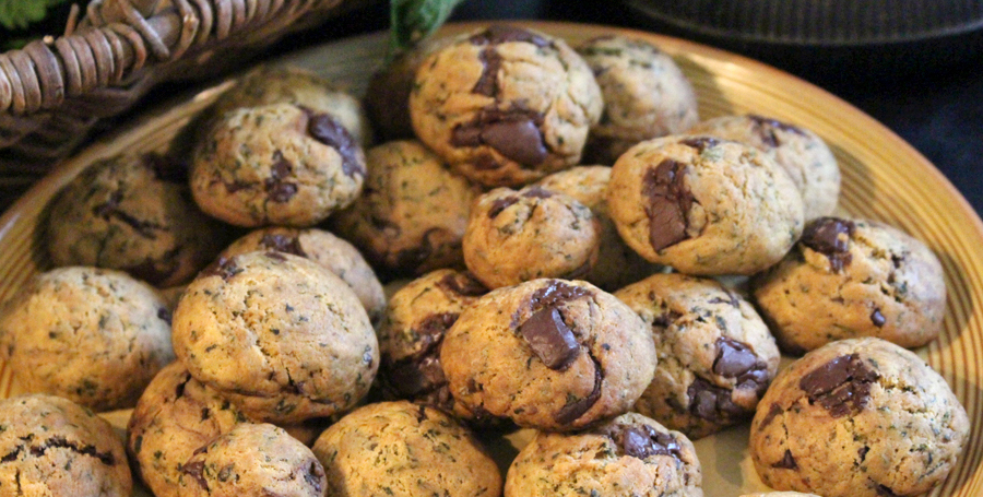 L'ortie - piqûres et cookies - www.oumbi.fr