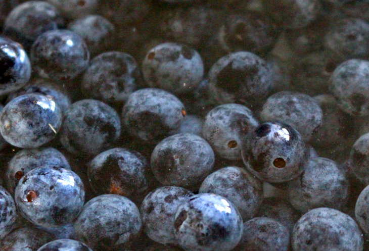 prunelles lactofermentation - vidéo 5 fruits sauvages - www.oumbi.fr